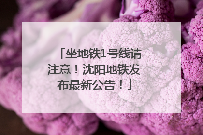 坐地铁1号线请注意！沈阳地铁发布最新公告！