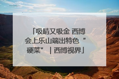 吸睛又吸金 西博会上乐山端出特色“硬菜”｜西博视界