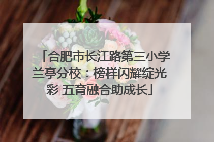合肥市长江路第三小学兰亭分校：榜样闪耀绽光彩 五育融合助成长