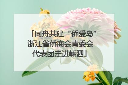 同舟共建“侨爱岛” 浙江省侨商会青委会代表团走进嵊泗