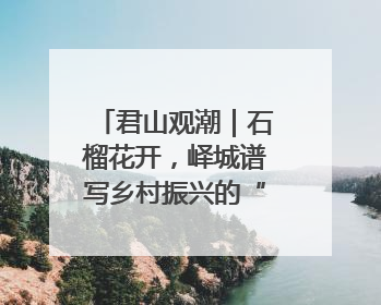 君山观潮｜石榴花开，峄城谱写乡村振兴的“新”篇章