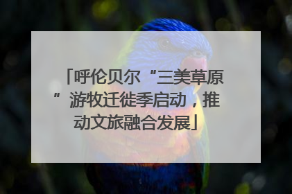 呼伦贝尔“三美草原”游牧迁徙季启动，推动文旅融合发展