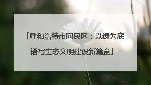 呼和浩特市回民区：以绿为底 谱写生态文明建设新篇章