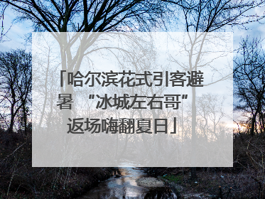 哈尔滨花式引客避暑 “冰城左右哥”返场嗨翻夏日