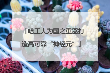 哈工大为国之重器打造高可靠“神经元”
