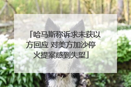 哈马斯称诉求未获以方回应 对美方加沙停火提案感到失望