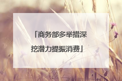 商务部多举措深挖潜力提振消费