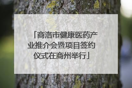 商洛市健康医药产业推介会暨项目签约仪式在商州举行