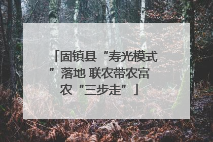 固镇县“寿光模式”落地 联农带农富农“三步走”