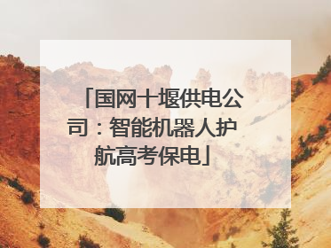 国网十堰供电公司：智能机器人护航高考保电