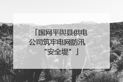 国网平舆县供电公司筑牢电网防汛“安全堤”