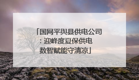 国网平舆县供电公司：迎峰度夏保供电  数智赋能守清凉