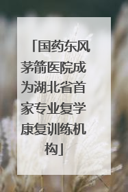 国药东风茅箭医院成为湖北省首家专业复学康复训练机构