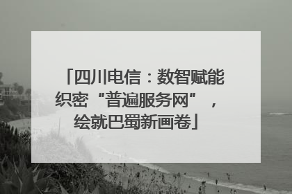 四川电信：数智赋能织密“普遍服务网”，绘就巴蜀新画卷