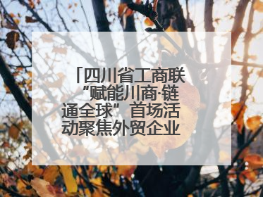 四川省工商联“赋能川商·链通全球”首场活动聚焦外贸企业应对贸易摩擦