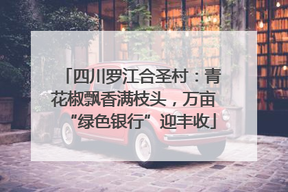 四川罗江合圣村：青花椒飘香满枝头，万亩“绿色银行”迎丰收