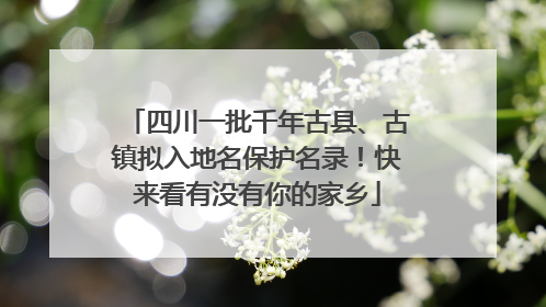 四川一批千年古县、古镇拟入地名保护名录！快来看有没有你的家乡