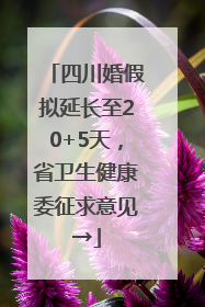 四川婚假拟延长至20+5天，省卫生健康委征求意见→