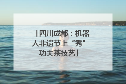 四川成都：机器人非遗节上“秀”功夫茶技艺