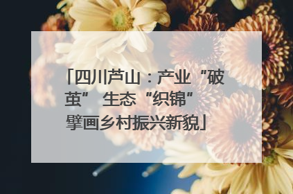 四川芦山：产业“破茧” 生态“织锦” 擘画乡村振兴新貌