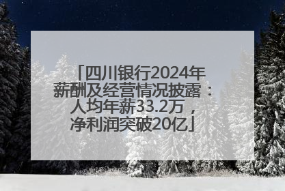四川银行2024年薪酬及经营情况披露：人均年薪33.2万，净利润突破20亿