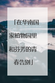 在华南国家植物园里和芬芳的青春告别