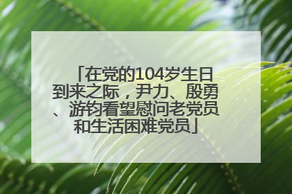 在党的104岁生日到来之际，尹力、殷勇、游钧看望慰问老党员和生活困难党员