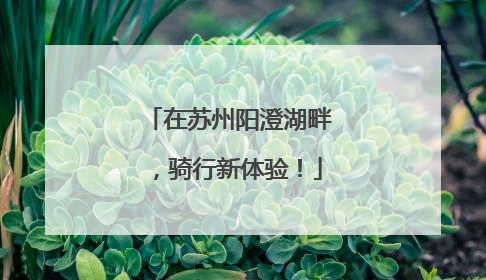 在苏州阳澄湖畔，骑行新体验！