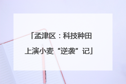 孟津区：科技种田 上演小麦“逆袭”记