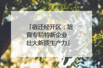 宿迁经开区：培育专精特新企业 壮大新质生产力