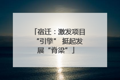 宿迁：激发项目“引擎” 挺起发展“脊梁”