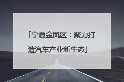 宁夏金凤区：聚力打造汽车产业新生态