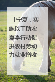 宁夏：实施以工助农夏季行动促进农村劳动力就业增收