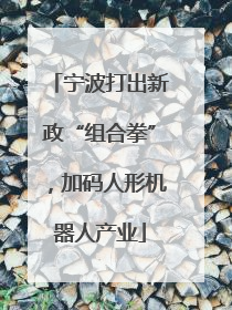 宁波打出新政“组合拳”，加码人形机器人产业