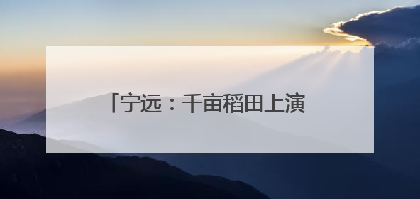 宁远：千亩稻田上演 “智慧种田” 升级