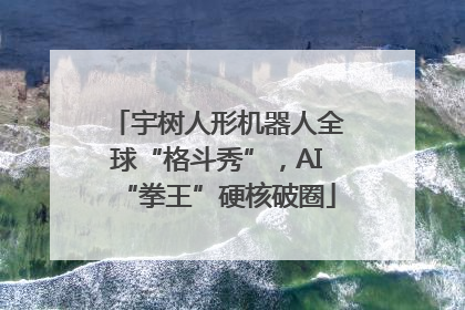 宇树人形机器人全球“格斗秀”，AI“拳王”硬核破圈