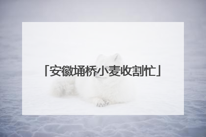 安徽埇桥小麦收割忙