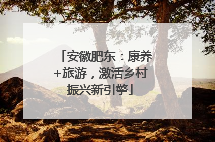 安徽肥东：康养+旅游，激活乡村振兴新引擎