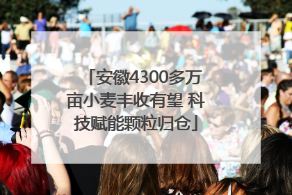 安徽4300多万亩小麦丰收有望 科技赋能颗粒归仓
