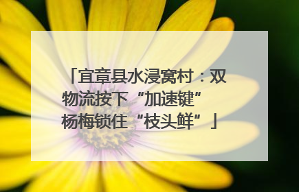 宜章县水浸窝村：双物流按下“加速键” 杨梅锁住“枝头鲜”