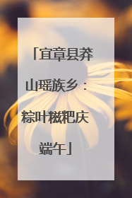 宜章县莽山瑶族乡：粽叶糍粑庆端午
