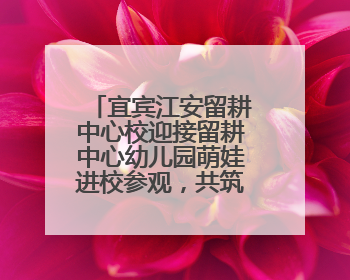 宜宾江安留耕中心校迎接留耕中心幼儿园萌娃进校参观，共筑成长桥梁
