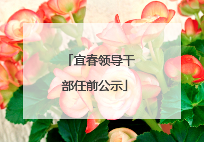 宜春领导干部任前公示