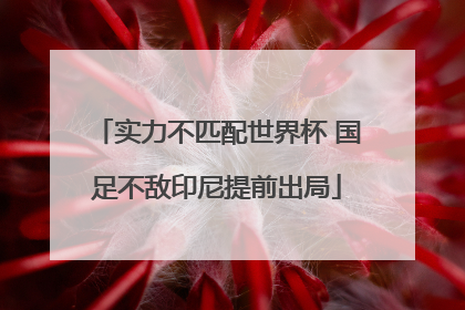 实力不匹配世界杯 国足不敌印尼提前出局