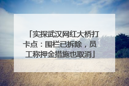 实探武汉网红大桥打卡点：围栏已拆除，员工称押金措施也取消