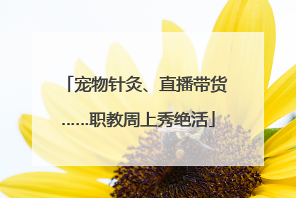 宠物针灸、直播带货……职教周上秀绝活