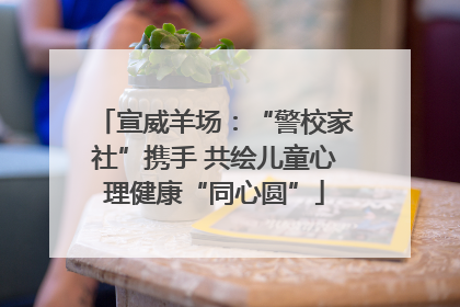 宣威羊场：“警校家社”携手 共绘儿童心理健康“同心圆”