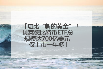 堪比“新的黄金”！贝莱德比特币ETF总规模达700亿美元 仅上市一年多