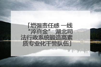 增强责任感 一线“淬真金” 湖北司法行政系统锻造高素质专业化干警队伍