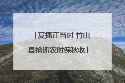 夏播正当时 竹山县抢抓农时保秋收